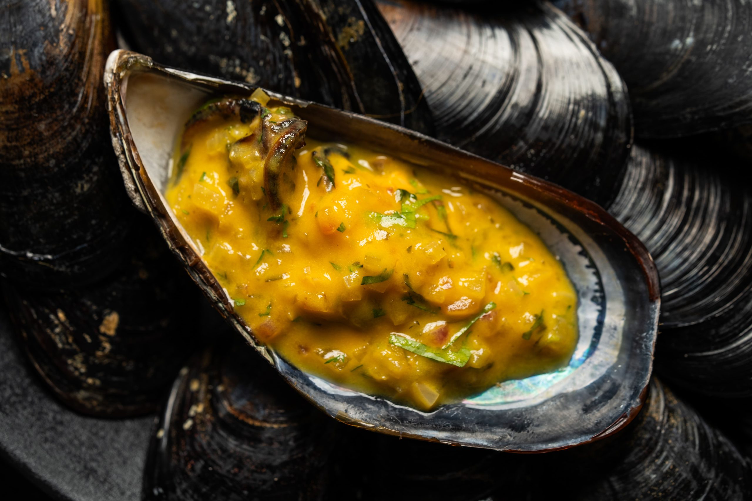 CuMe Oaxaca, Agosto 2025. Conrad Tulum Riviera Maya