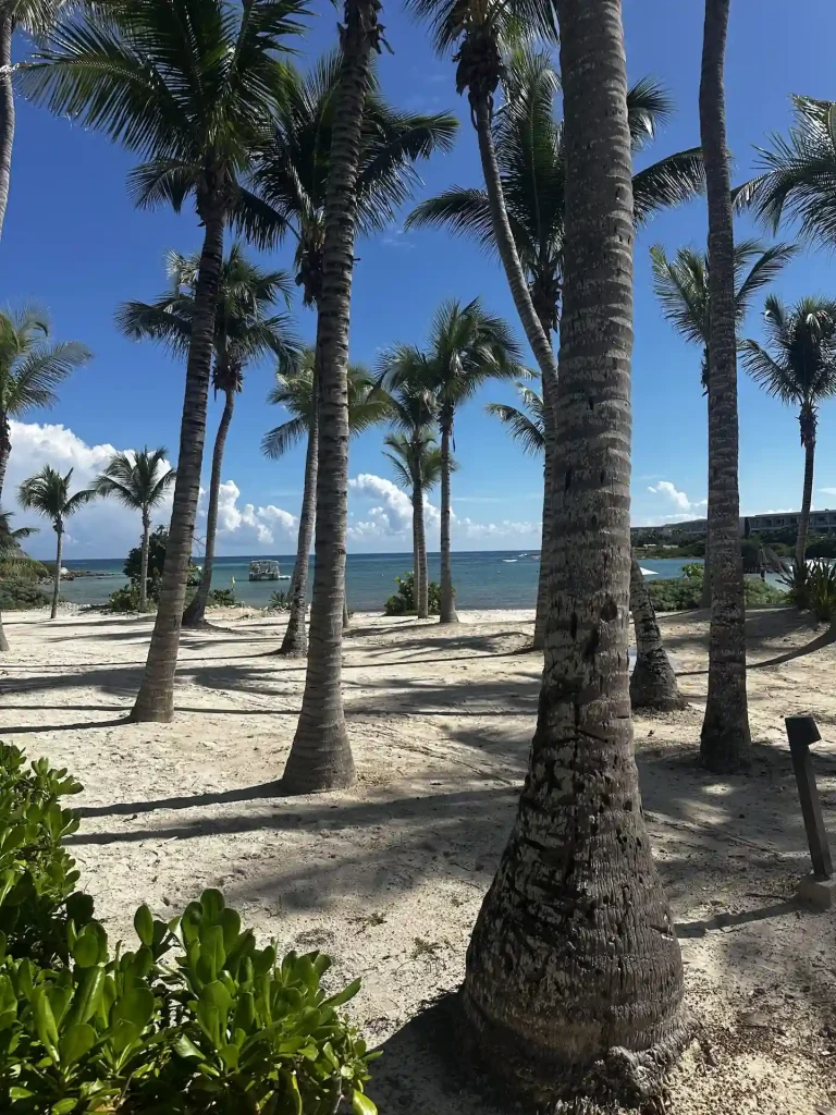 Tropical beach at Conrad Tulum Riviera Maya with tall palm trees, calm ocean, and boat near shore.
