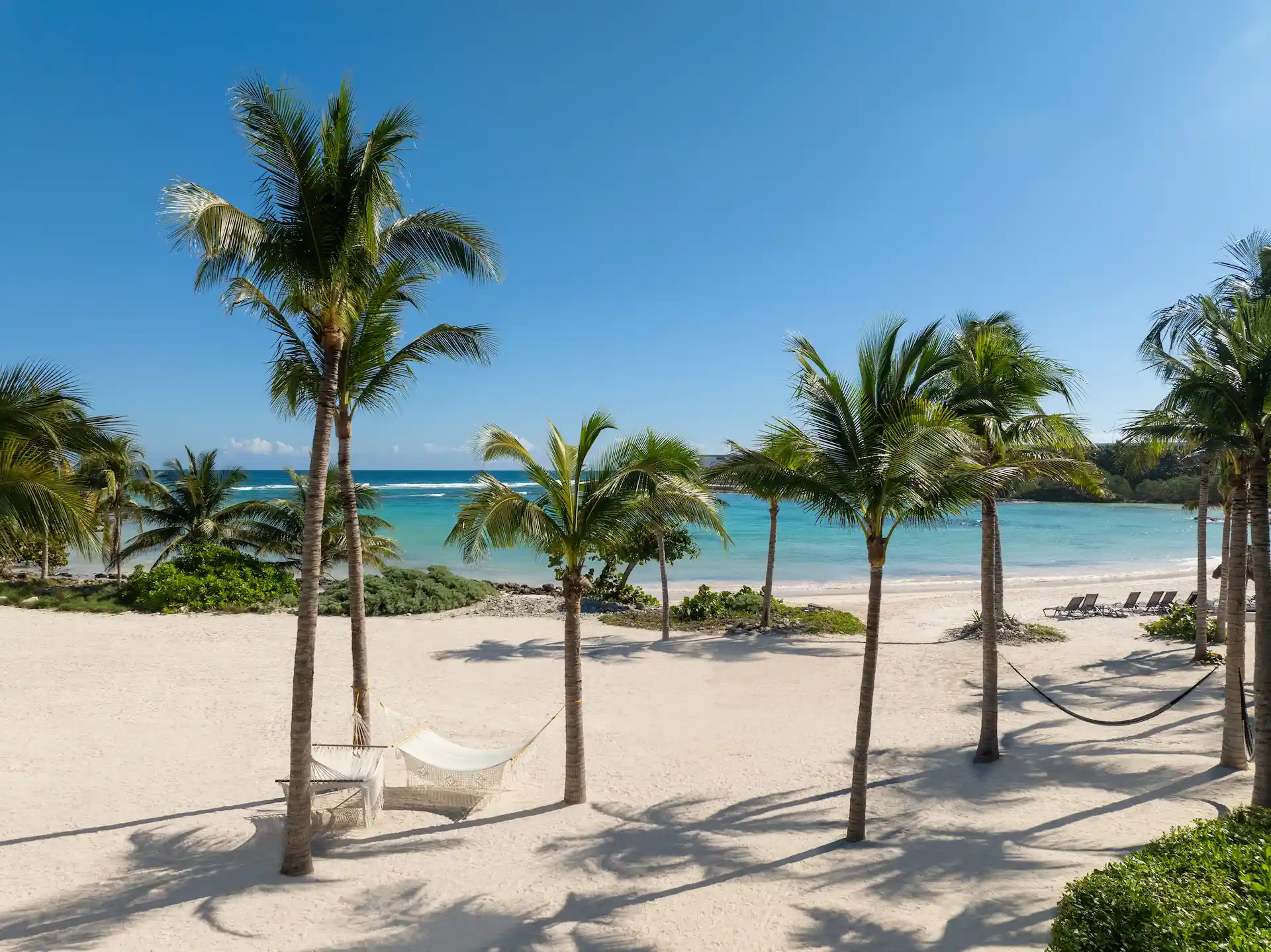 Tropical beach with white sand, palm trees, turquoise water, hammocks, and lounge chairs facing ocean