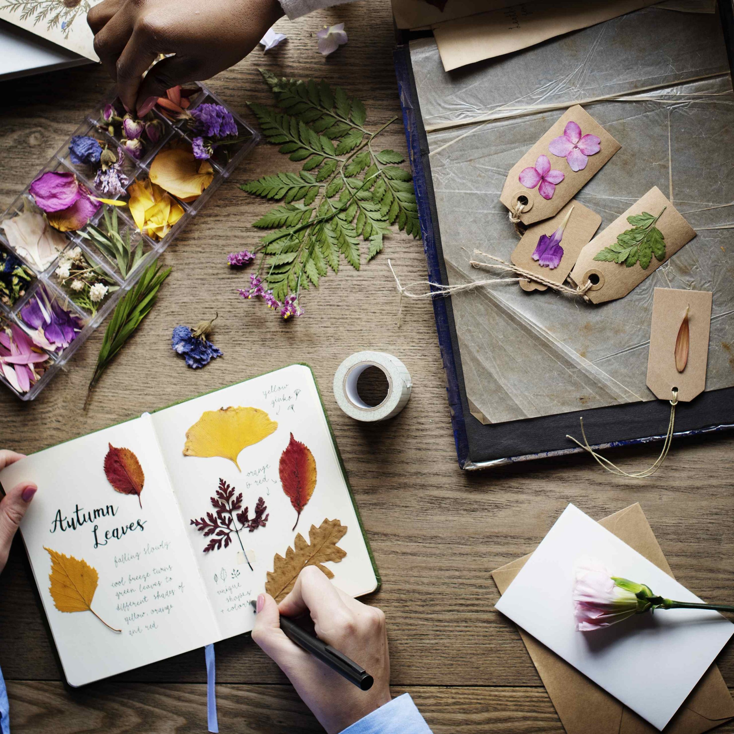 Botanical Press Experience. Curated Experience Collection