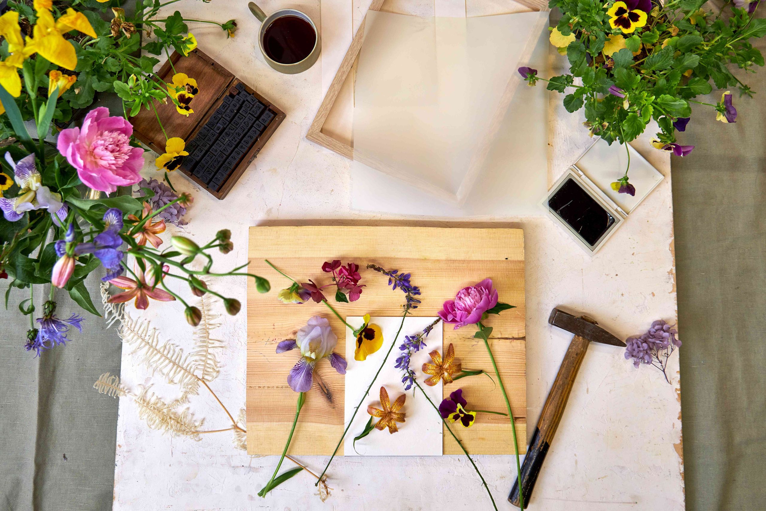 Botanical Press Experience. Curated Experience Collection